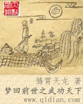 武侠小说:梦回前世之武功天下 武侠小说:梦回前世之武功天下