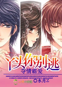 百合小说:夺爱霸情,丫头你别逃 百合小说:夺爱霸情,丫头你别逃