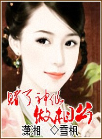 言情小说:赌了神仙做相公 言情小说:赌了神仙做相公