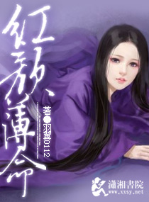 ����С˵:���ձ���