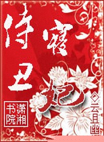 ����С˵:���޳���