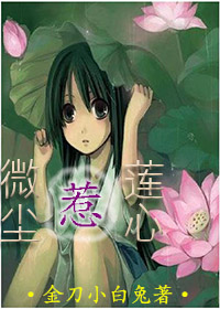 ����С˵:΢��������