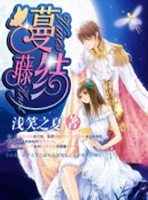 ����С˵:���ٽ�