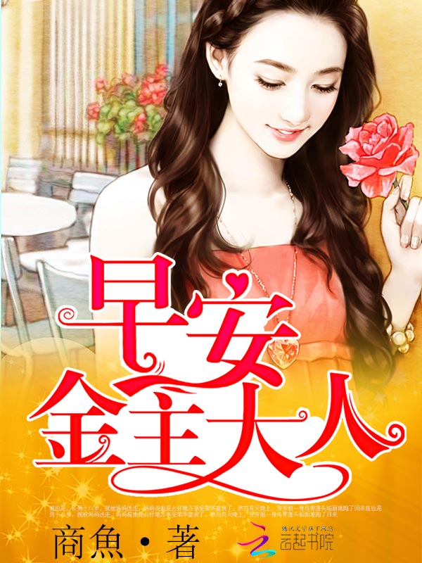 ����С˵:�簲����������