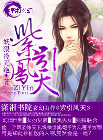 ����С˵:��������