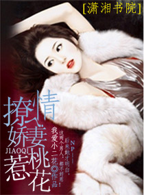 ����С˵:���齿�����һ�