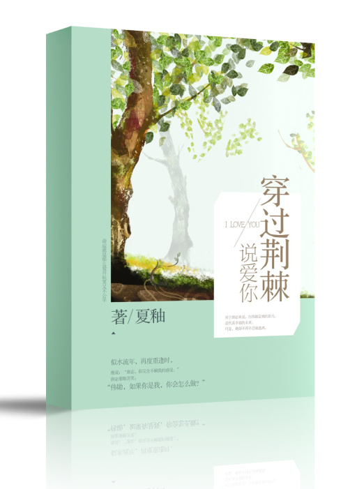 ����С˵:��������˵����