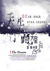 ����С˵:��ʧ���ε�����