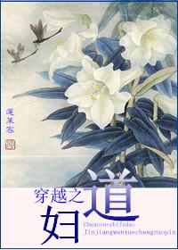 ����С˵:��Խ֮����