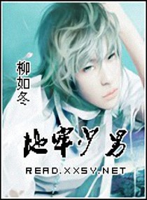 ����С˵:��������