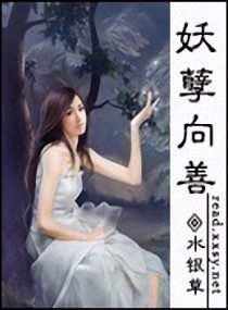 ����С˵:��������