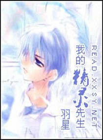 武侠小说:我的精灵先生 武侠小说:我的精灵先生