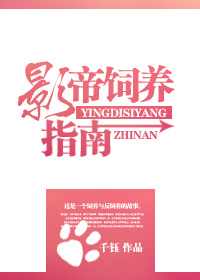 ����С˵:Ӱ������ָ��