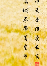 ��ʷС˵:���Ǿ����ƽ��