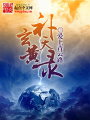 ����С˵:���Ʋ���¼