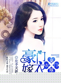 ����С˵:���ż���