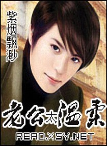 ����С˵:�Ϲ�̫����