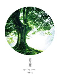 ����С˵:��֮��