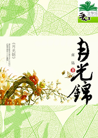 ����С˵:�¹��