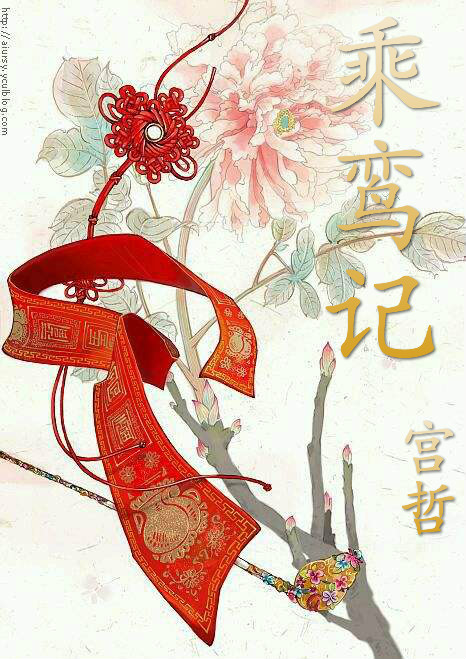 ����С˵:����