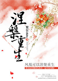 ����С˵:��������