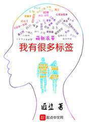 ����С˵:���кܶ��ǩ