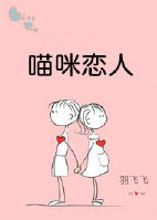 ����С˵:��������