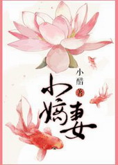 ����С˵:С����