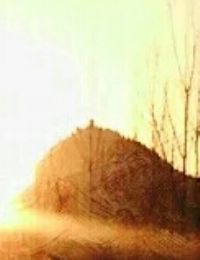 ����С˵:Ұɽ��