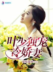 ����С˵:Ҷ�ٶ����使��