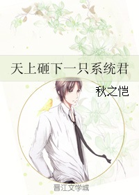 ����С˵:��������һֻϵͳ��