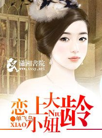 ����С˵:���ܹ�����