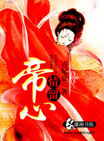 ����С˵:һ������