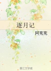 ����С˵:���¼�