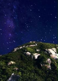 ����С˵:����