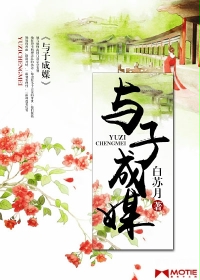 ����С˵:���ӳ�ý