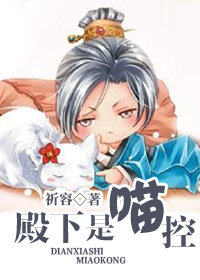 ����С˵:����������