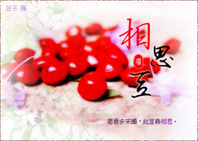 ����С˵:Ը�����ߢ