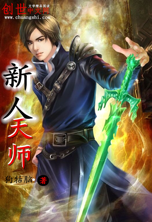 ����С˵:������ʦ