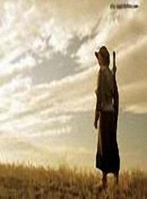 ����С˵:�����潣