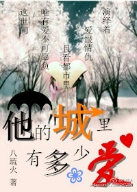 言情小说:他的城里有多少爱 言情小说:他的城里有多少爱