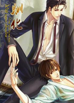 ����С˵:ѱ��