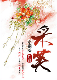 ����С˵:��ܽ