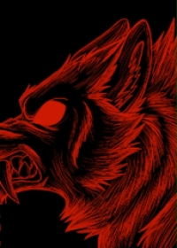 ����С˵:��������