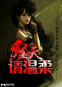 ����С˵:����������