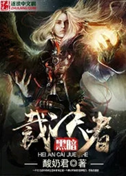 ����С˵:�ڰ��þ���