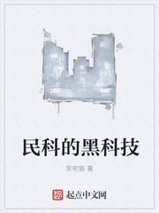 ����С˵:��ƵĺڿƼ�