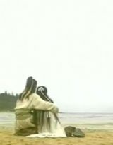 ����С˵:��������