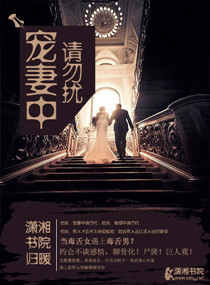 ����С˵:������������