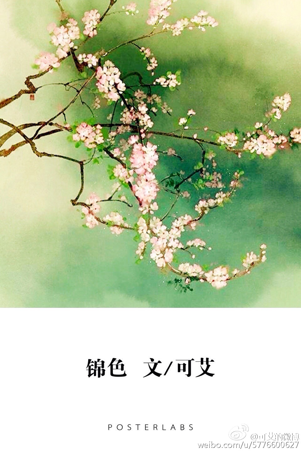 ����С˵:��ɫ